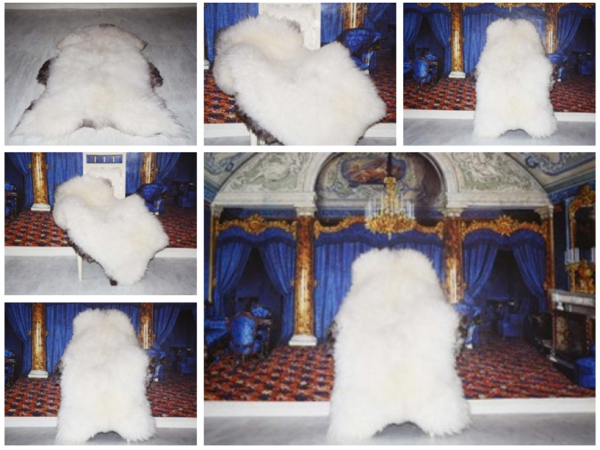 Sonderangebot Scottish Blackface Wollschaf